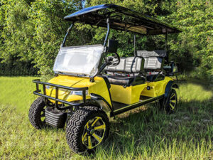 nettles island golf cart repair, golf cart service, mobile repair